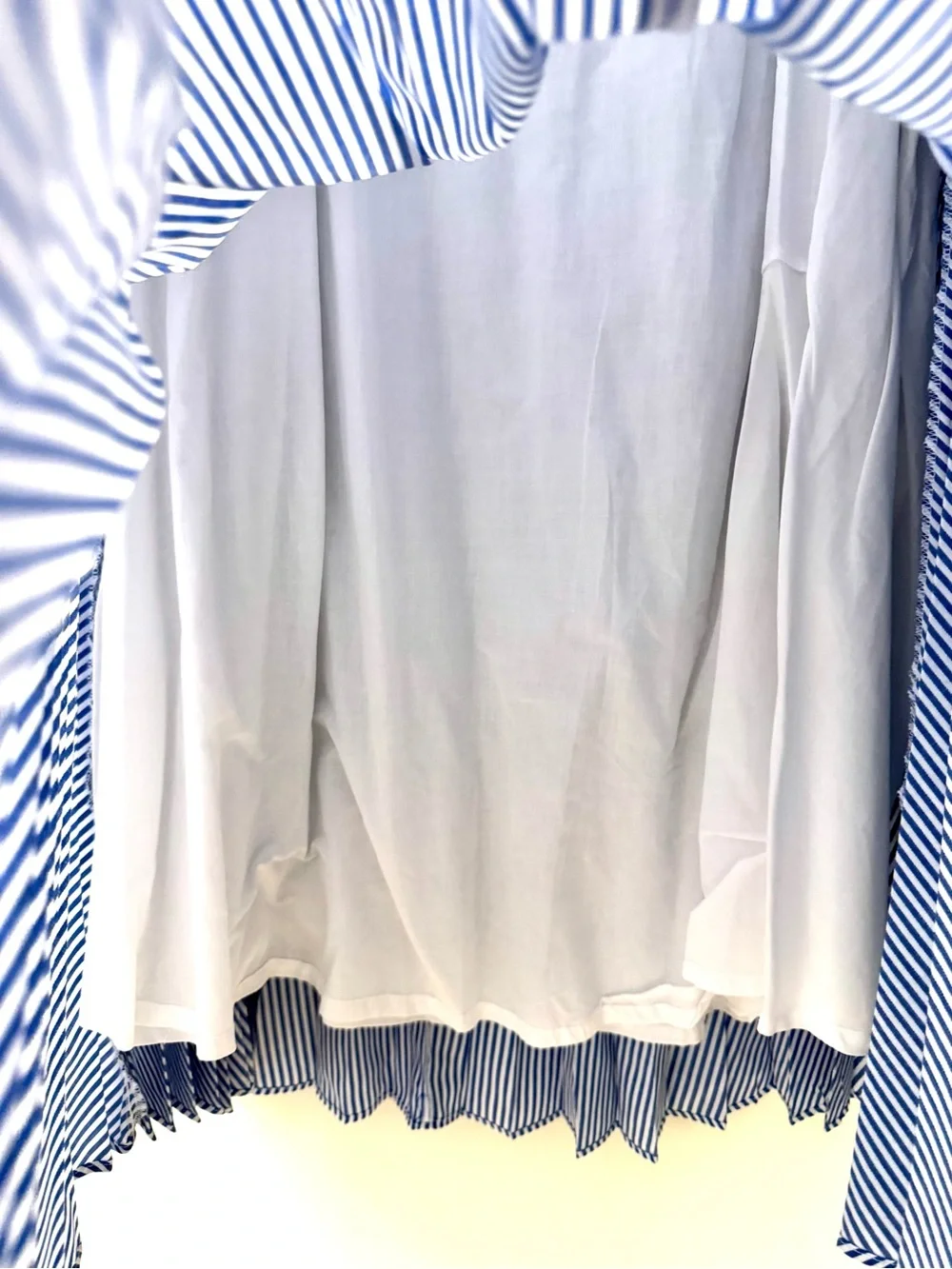 J.CREW Pleated Maxi Skirt
